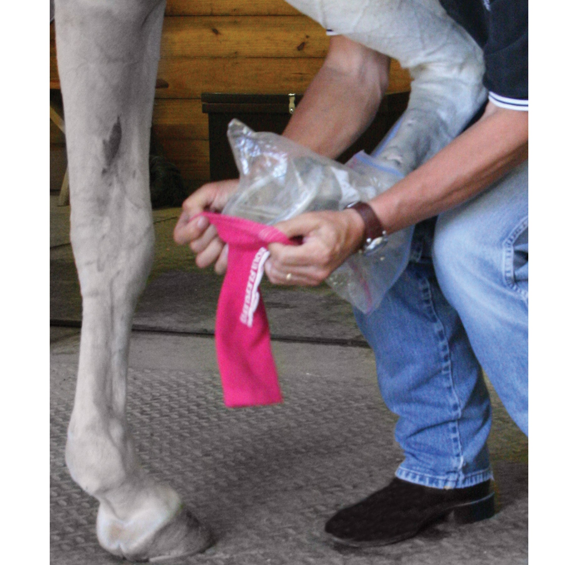 Equi Flex Sleeve Horse Compression Socks