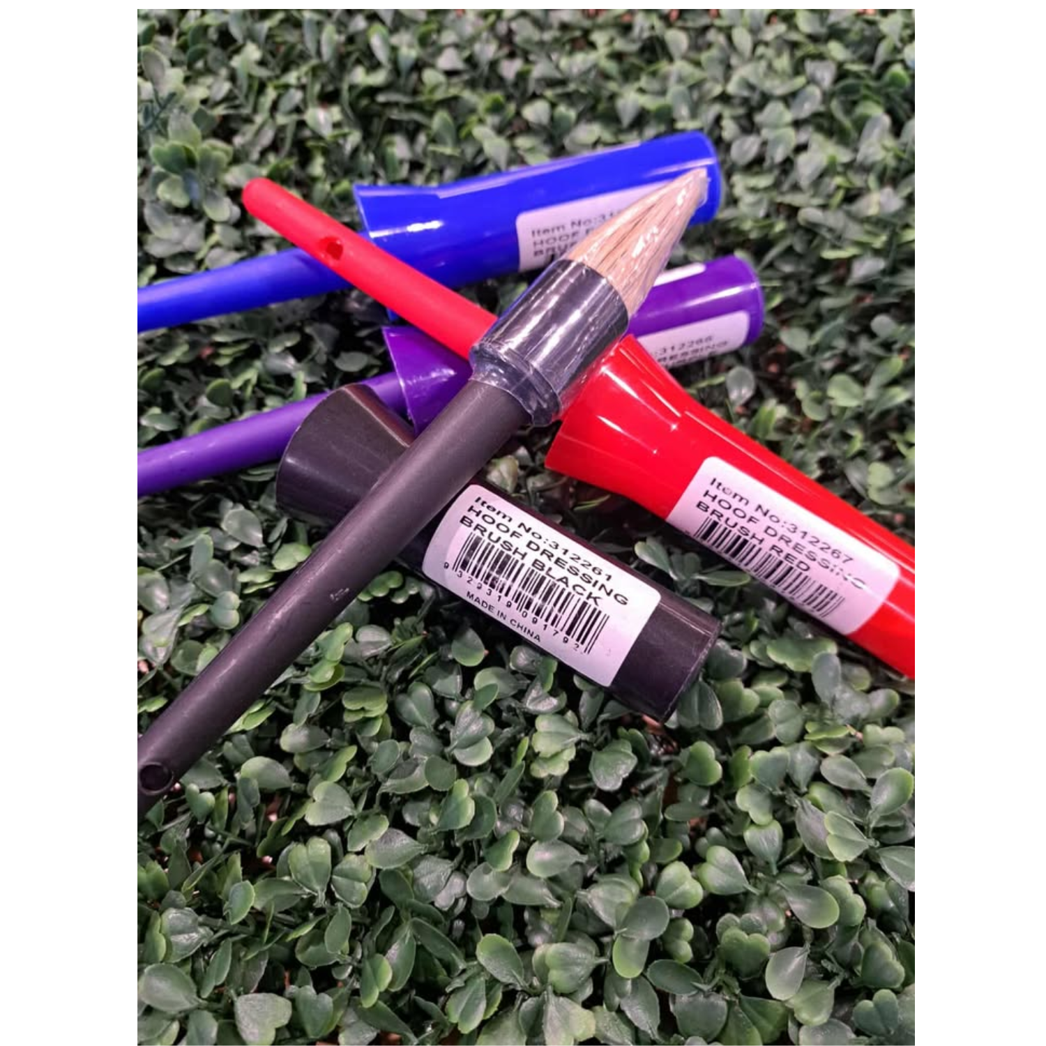 Hoof Dressing Brush With Lid