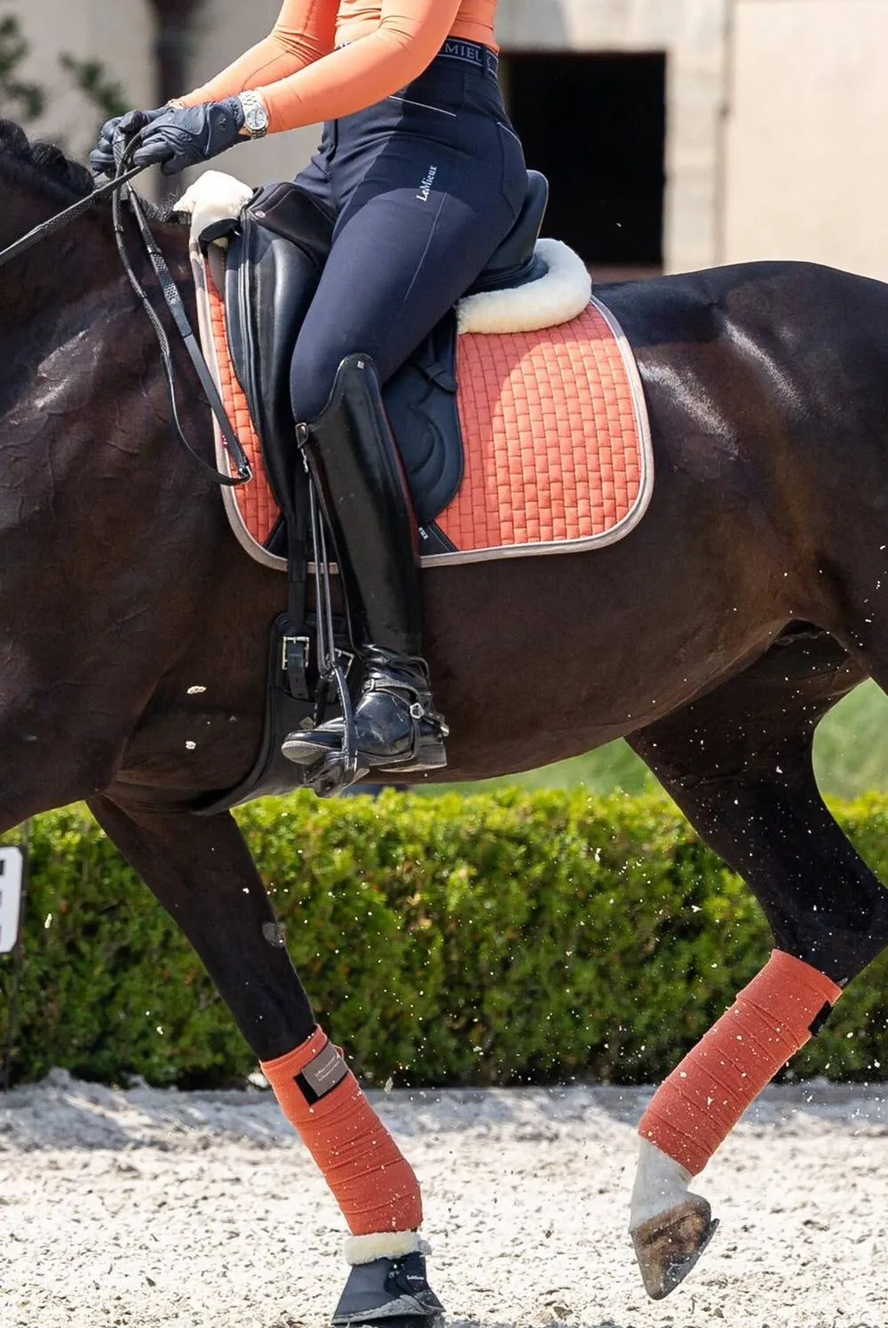 LeMieux Square Suede Dressage Pad