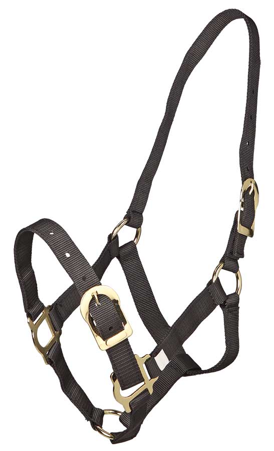 Zilco Picador PP Headstall