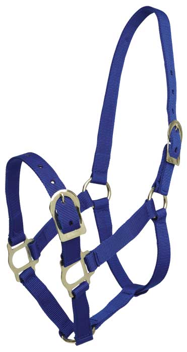 Zilco Picador PP Headstall