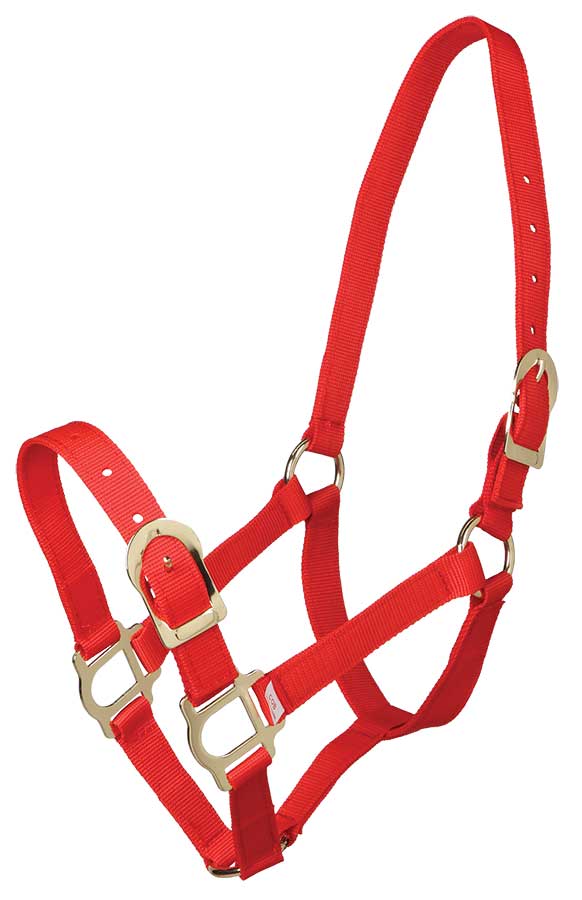 Zilco Picador PP Headstall