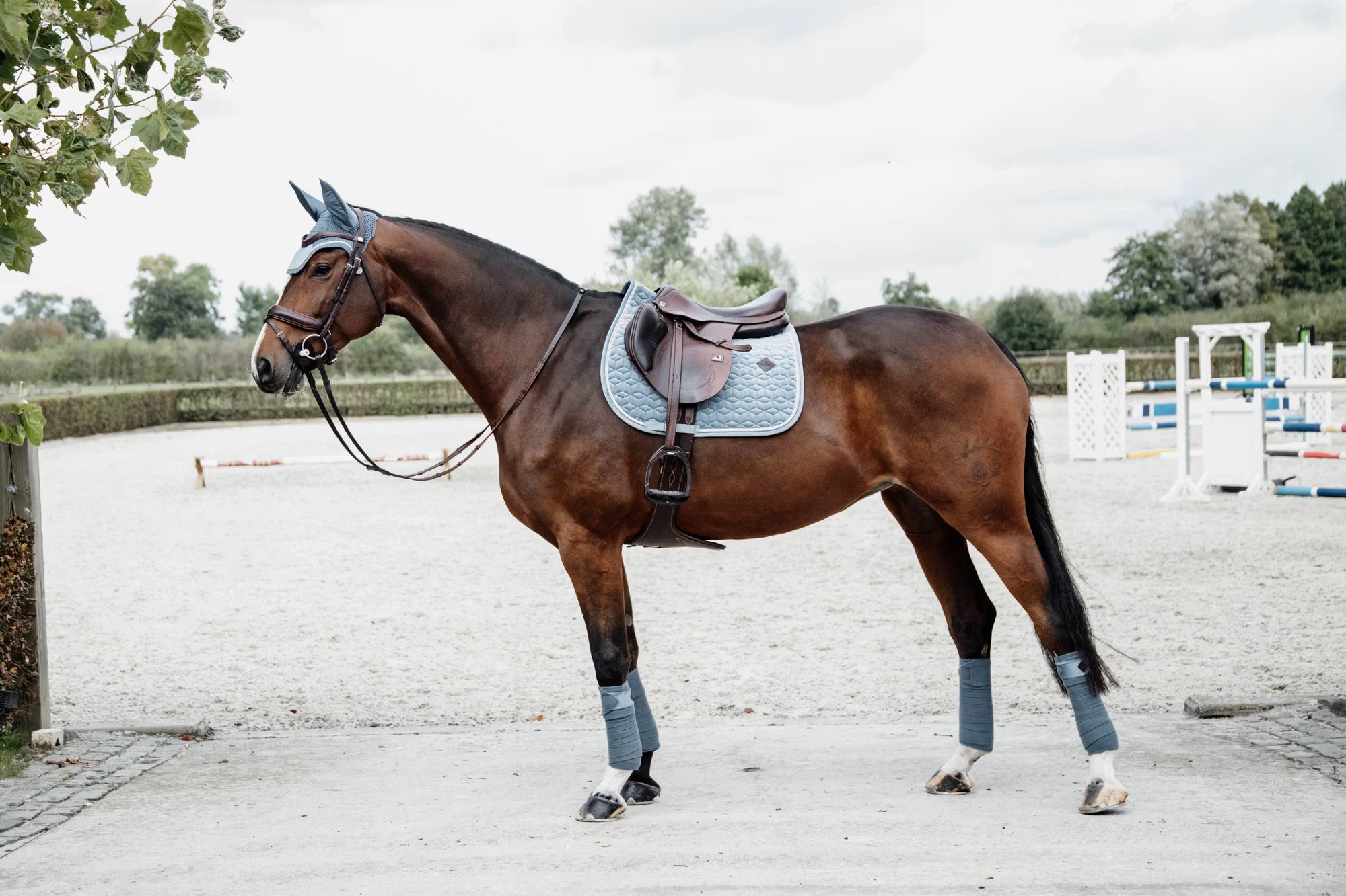Kentucky Horseware Velvet Showjumping Pad