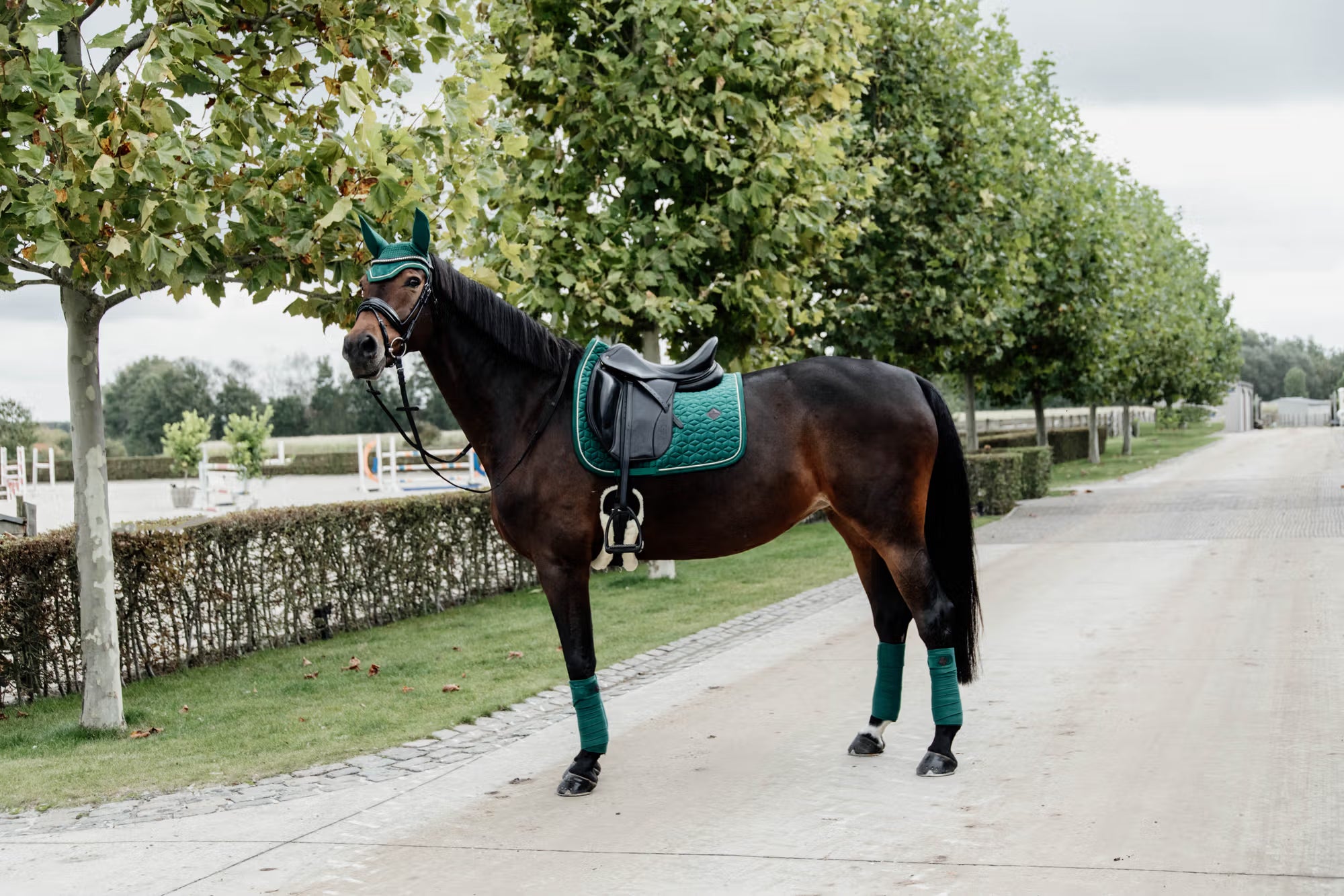 Kentucky Horseware Velvet Dressage Pad