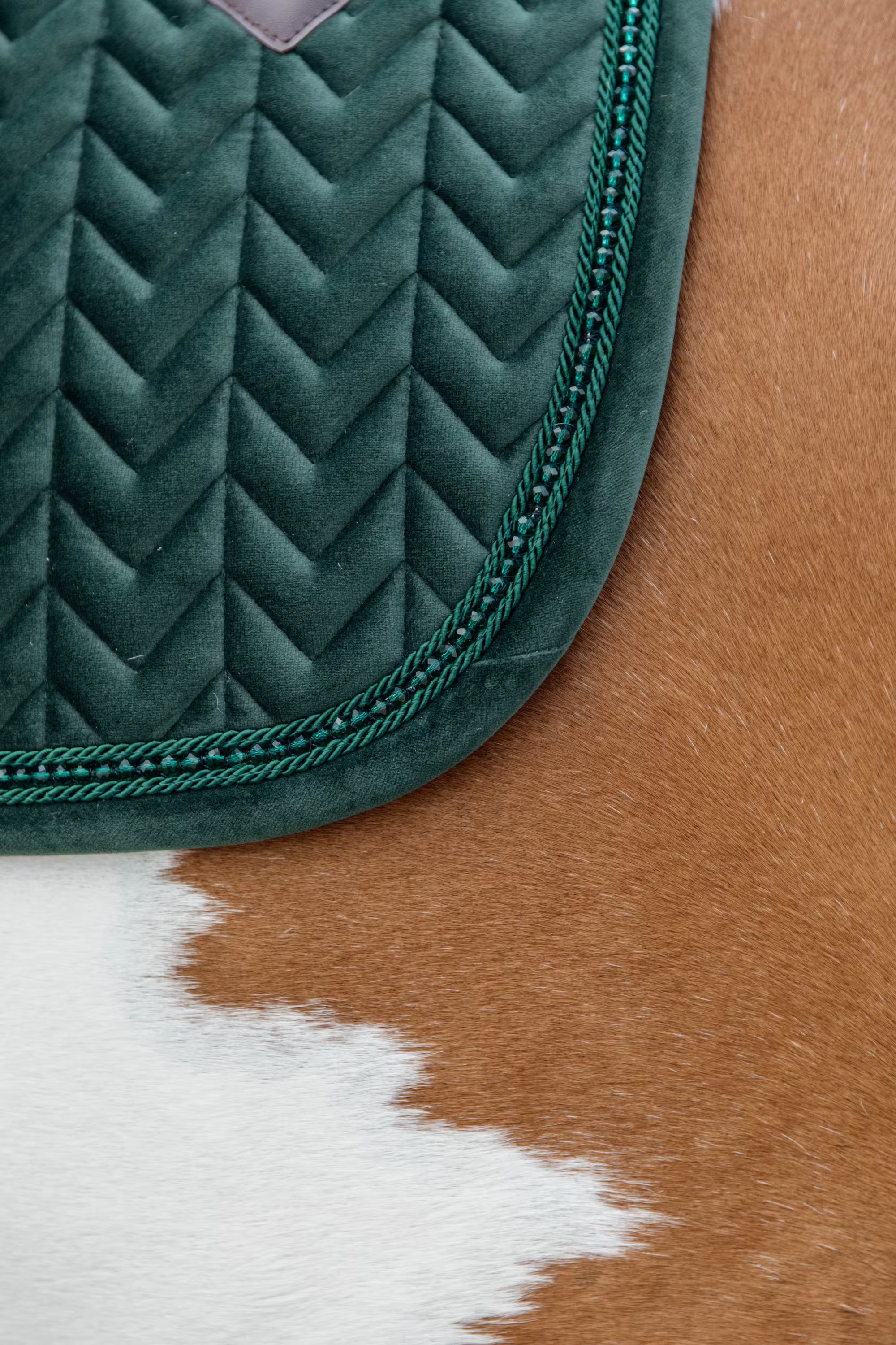 Kentucky Horseware Velvet Pearls Showjumping Pad