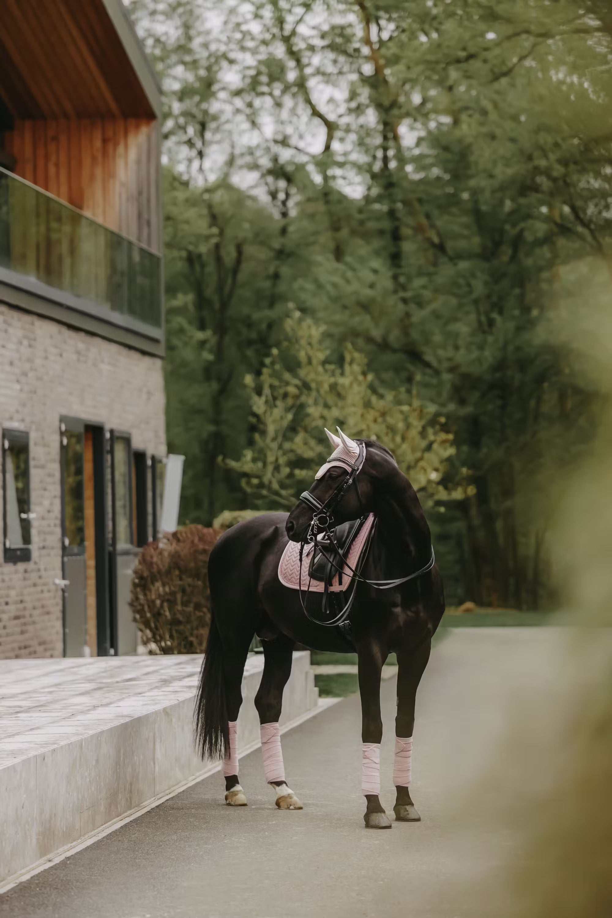 Kentucky Horseware Velvet Pearls Dressage Saddle Pad