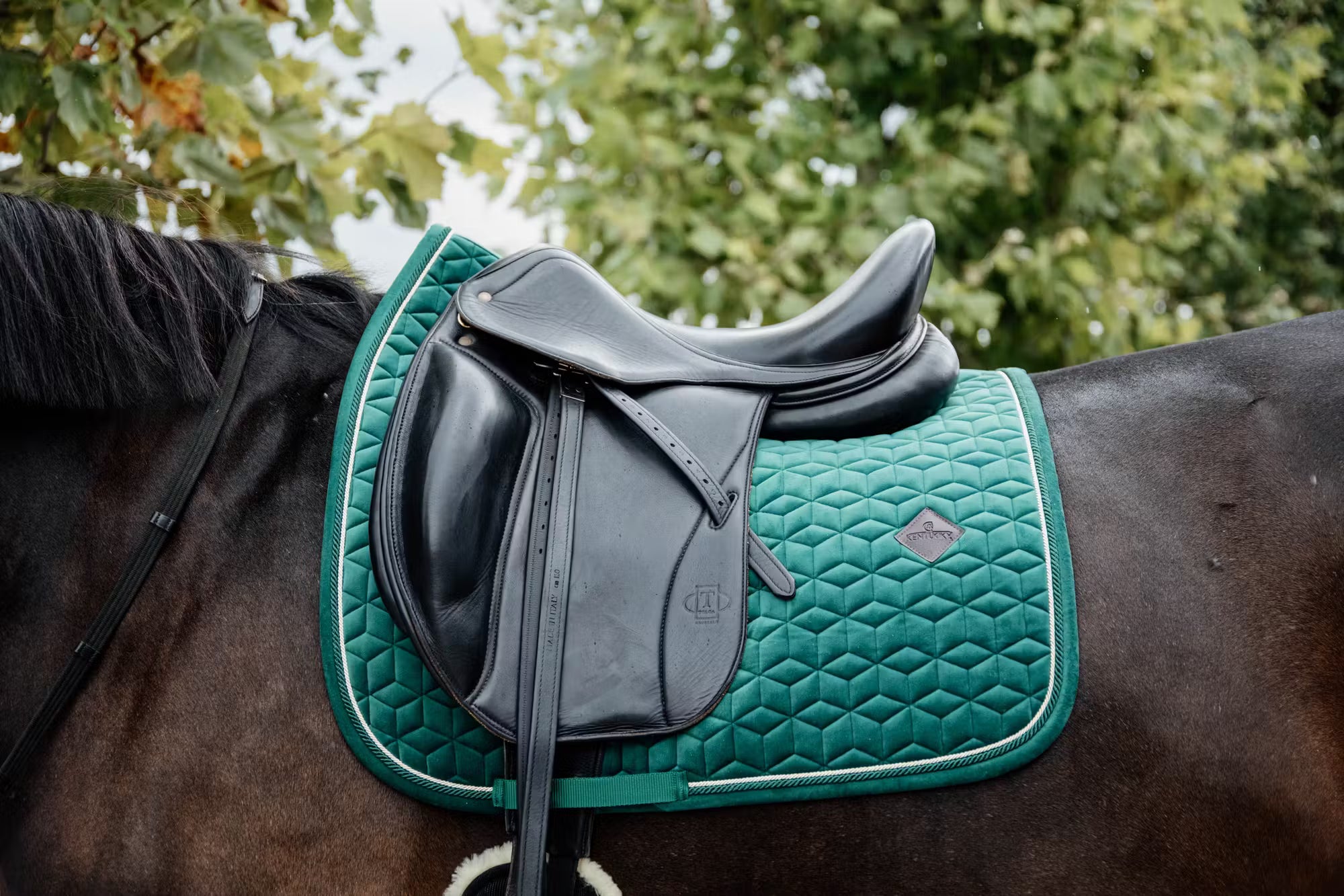 Kentucky Horseware Velvet Dressage Pad