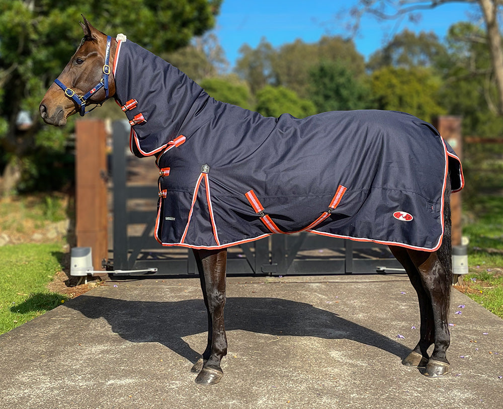 Pioneer 200 Winter Combo