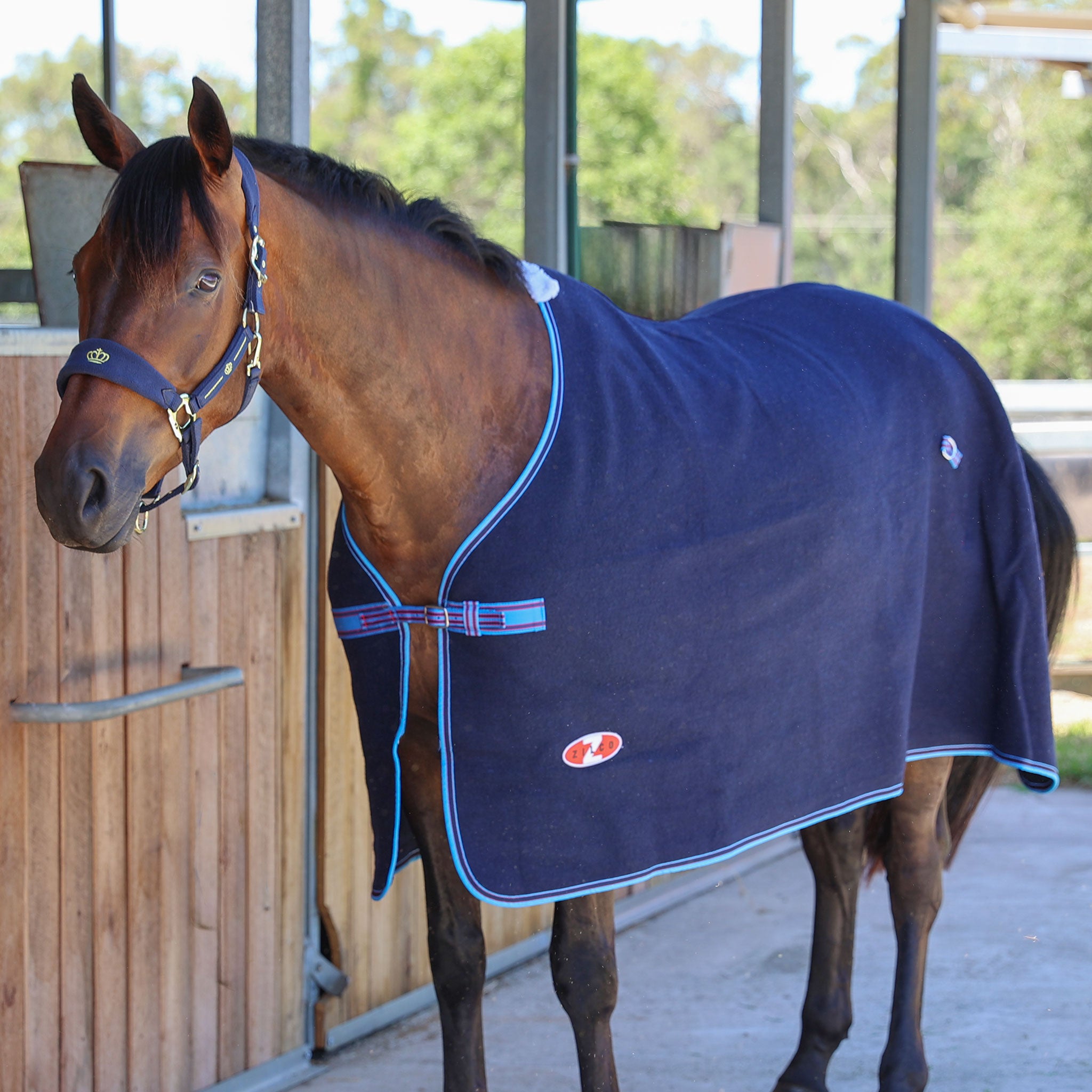 Zilco Wool Defender Rug