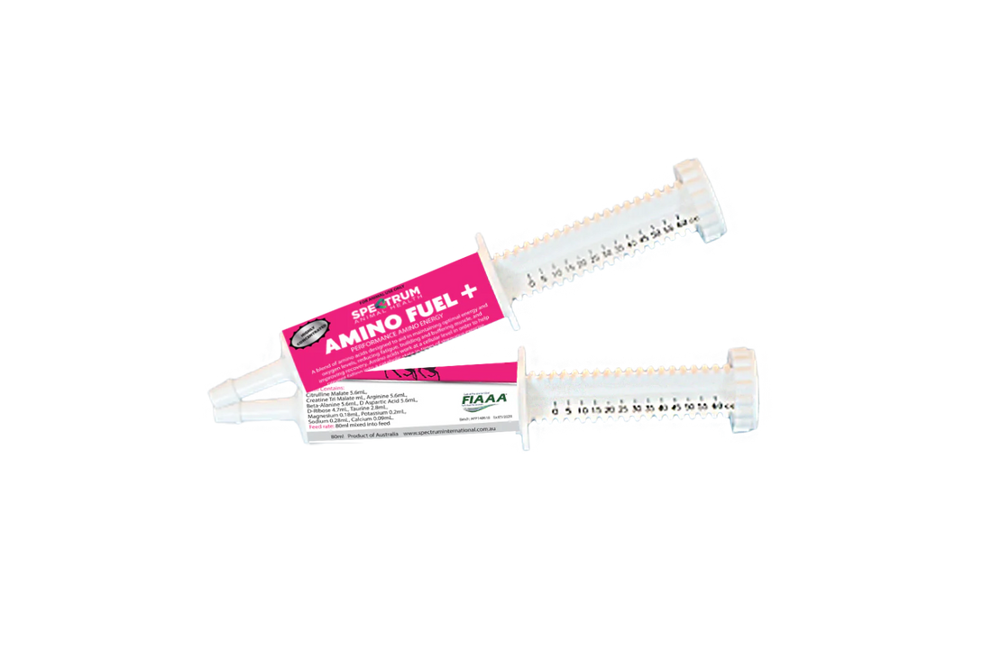 Spectrum Amino Fuel Paste