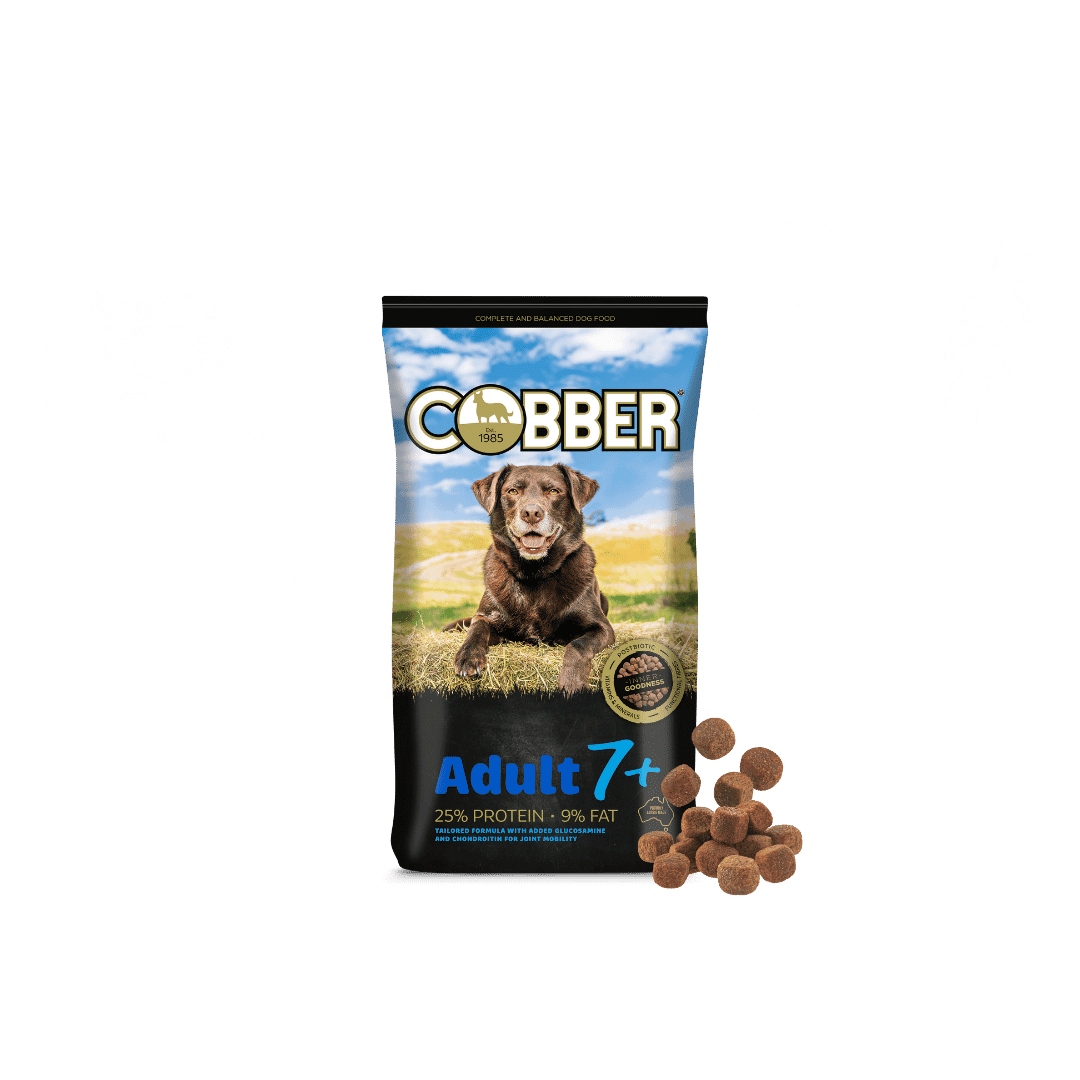 Cobber Adult 7+ (Senior) Dog Food 20kg