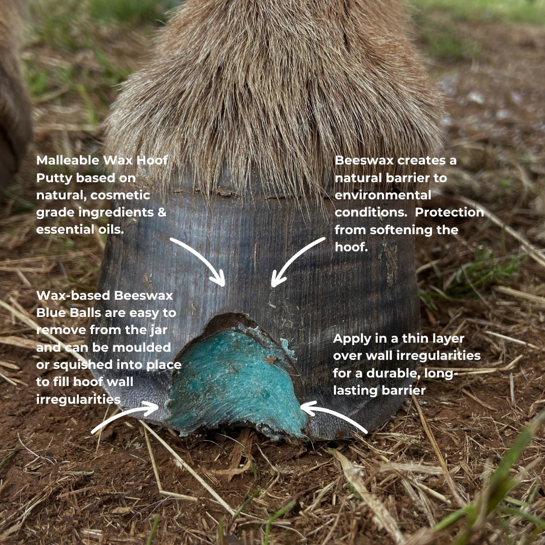 The Hoof Co Beeswax BLUE Balls