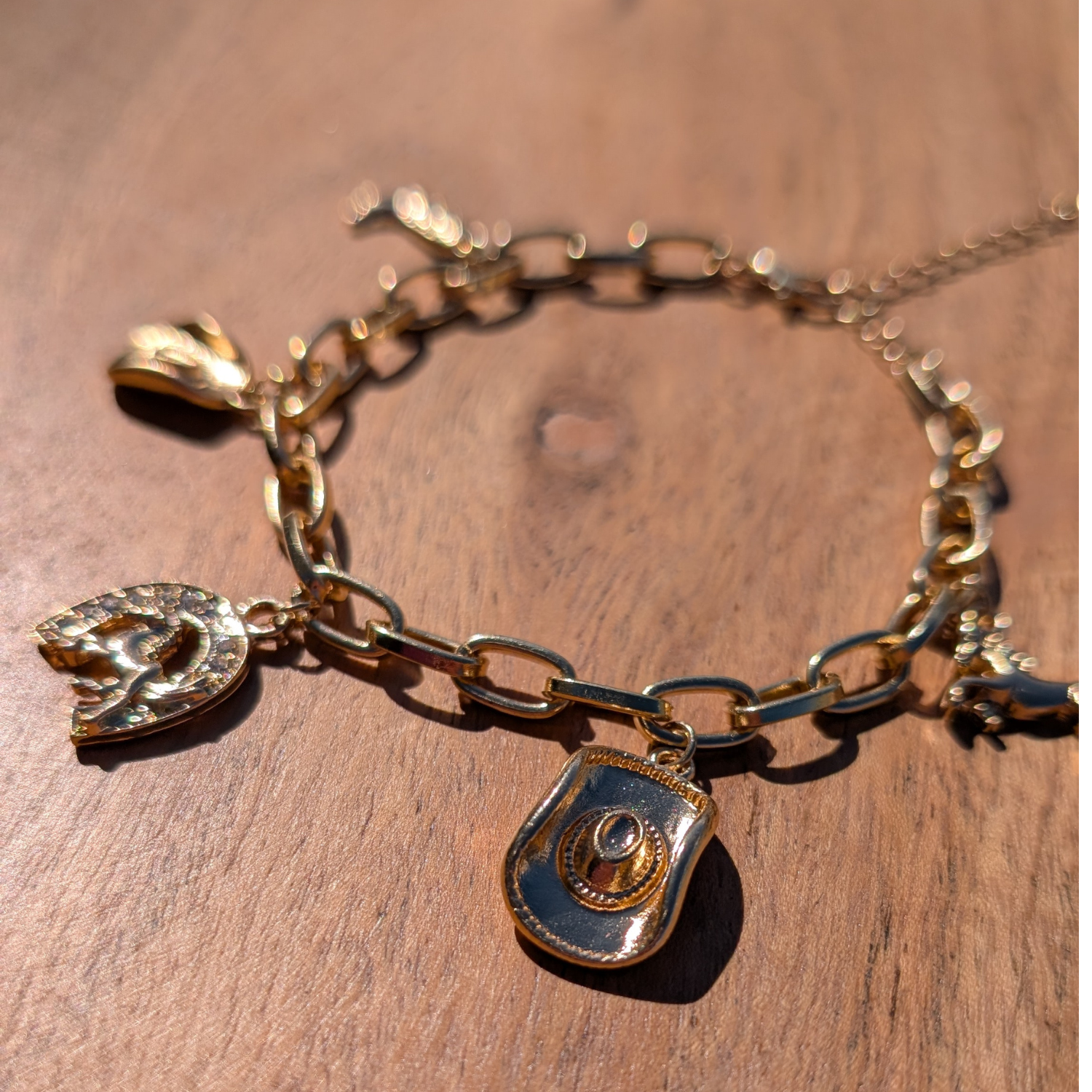 Cowgal Gifts Western Charm Bracelet