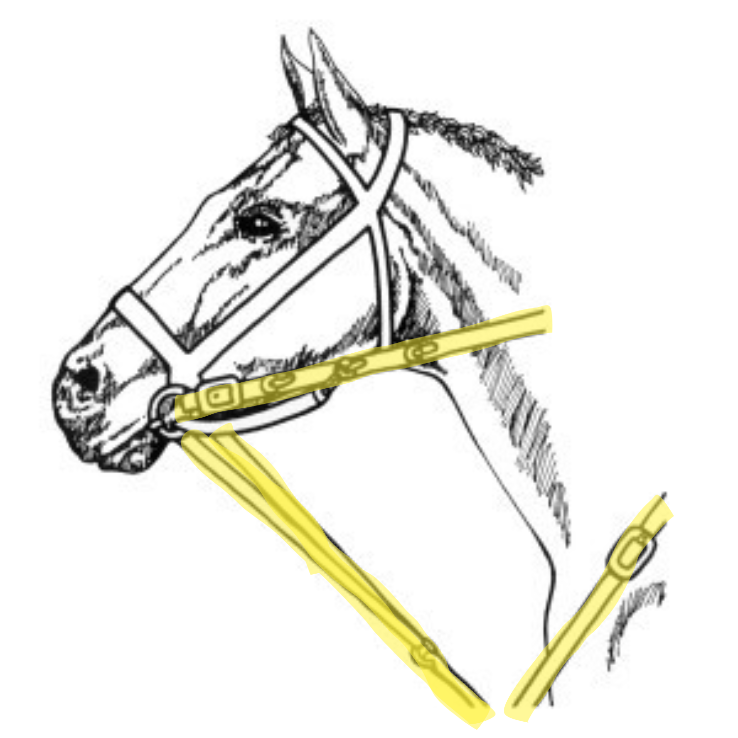 Flick Market Harborough Clip Ons