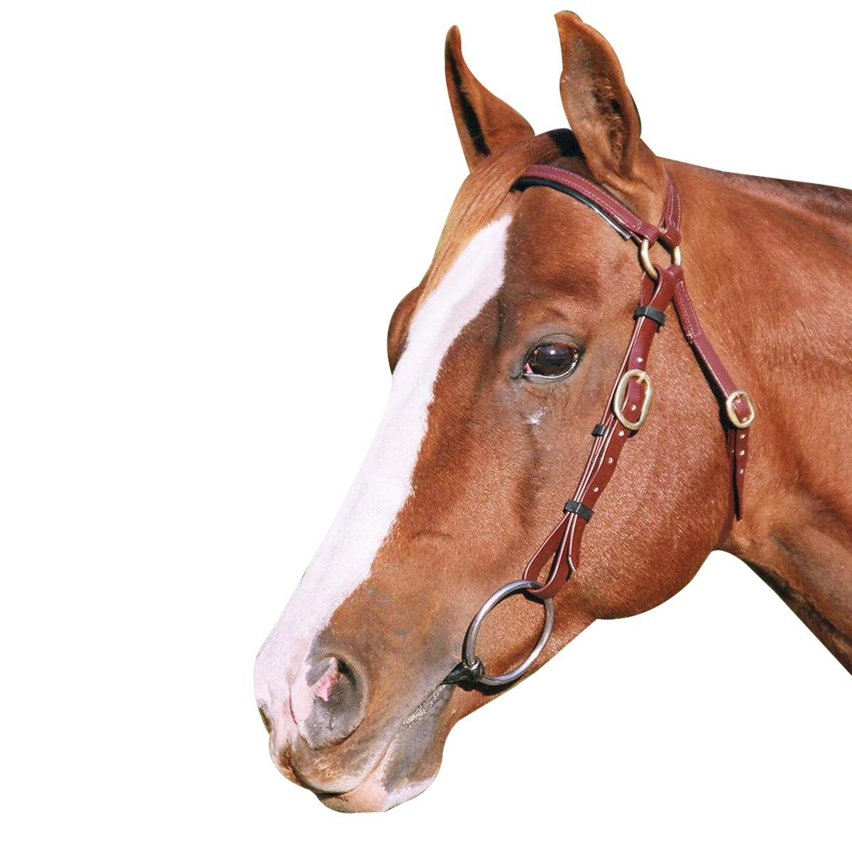 Showcraft PVC Barcoo Bridle