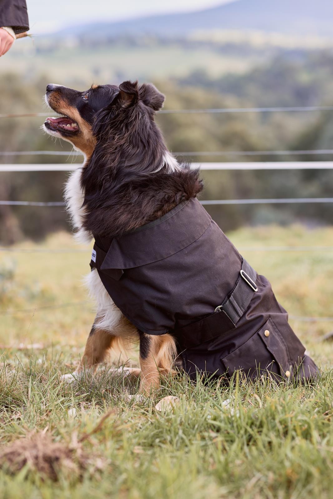 Nullarbor Oilskin Dog Rug (Cotton Lined)