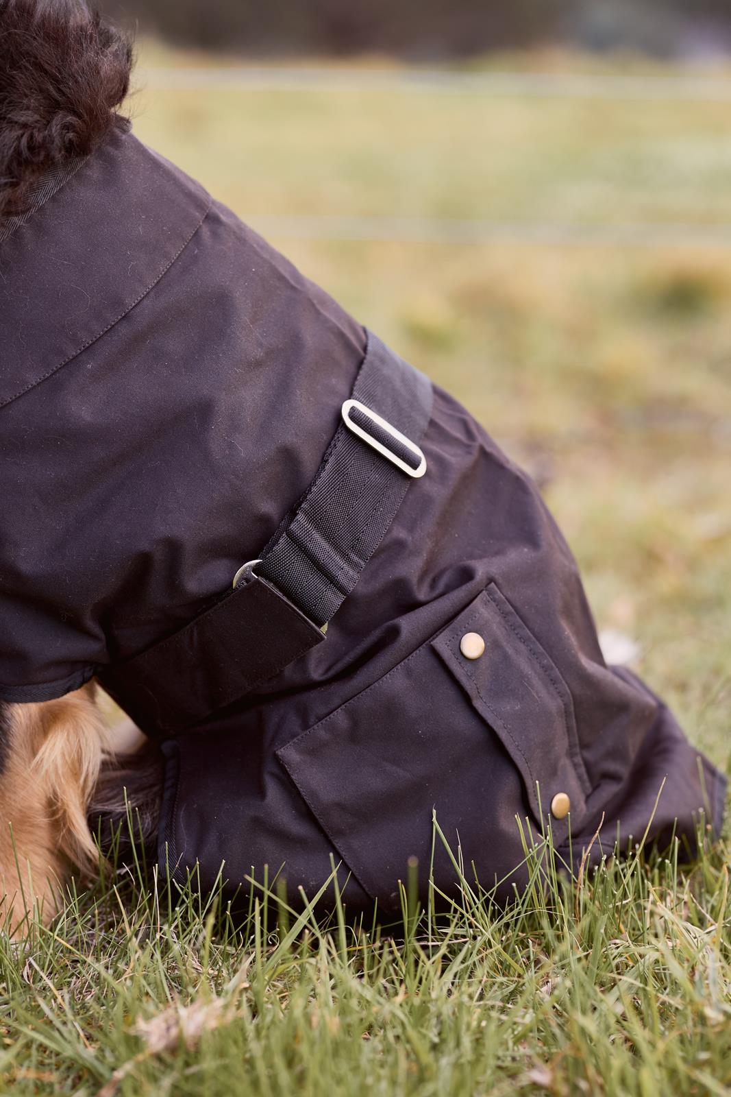 Nullarbor Oilskin Dog Rug (Cotton Lined)