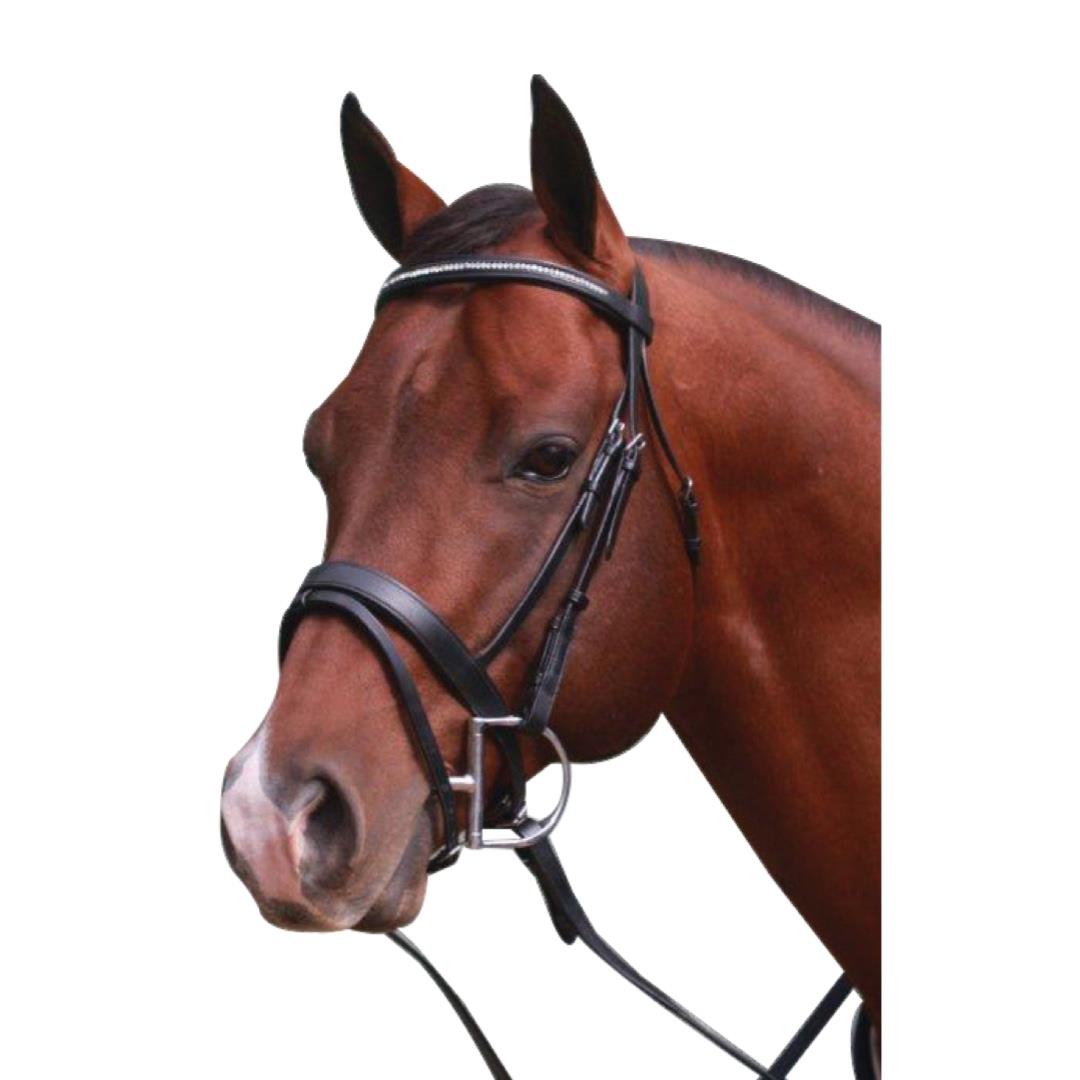 Eureka Krystal Hanoverian Bridle
