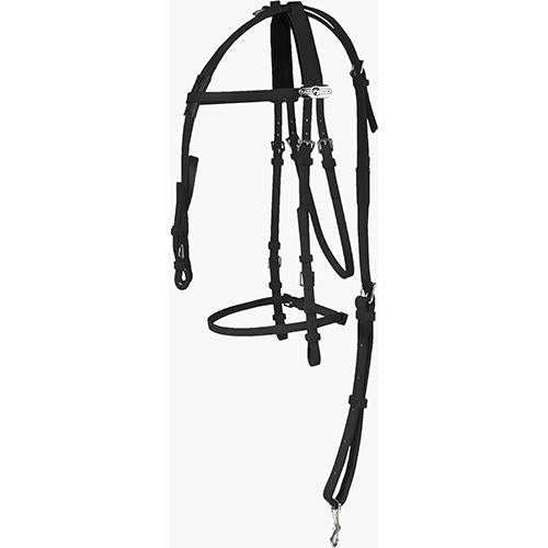 Complete Synthetic Beta Bridle