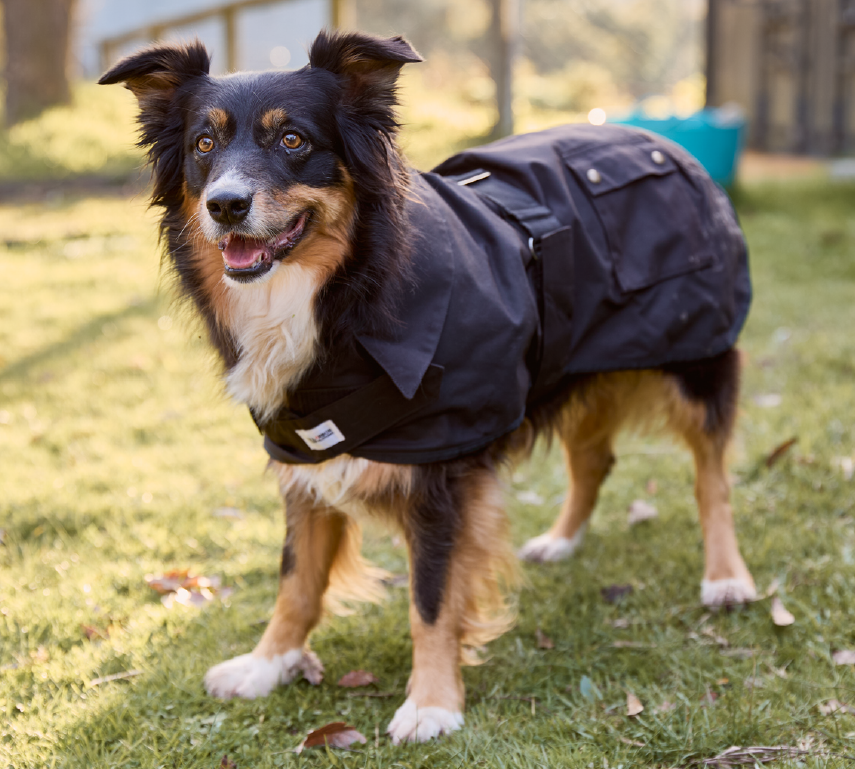 Nullarbor Oilskin Dog Rug (Cotton Lined)