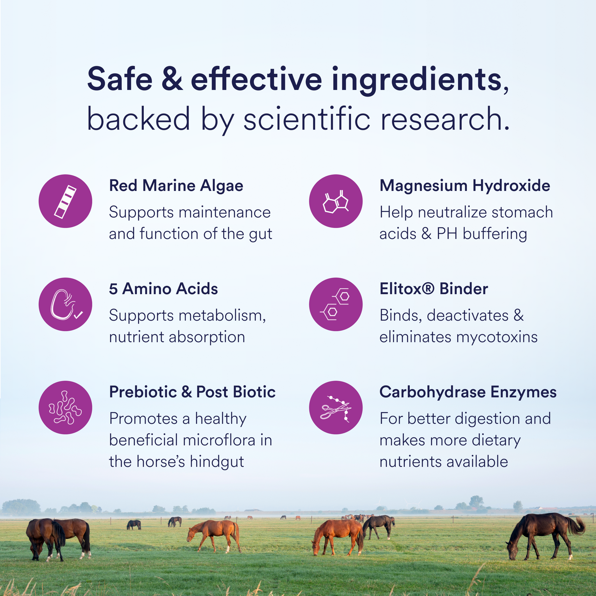 Poseidon Digestive HP