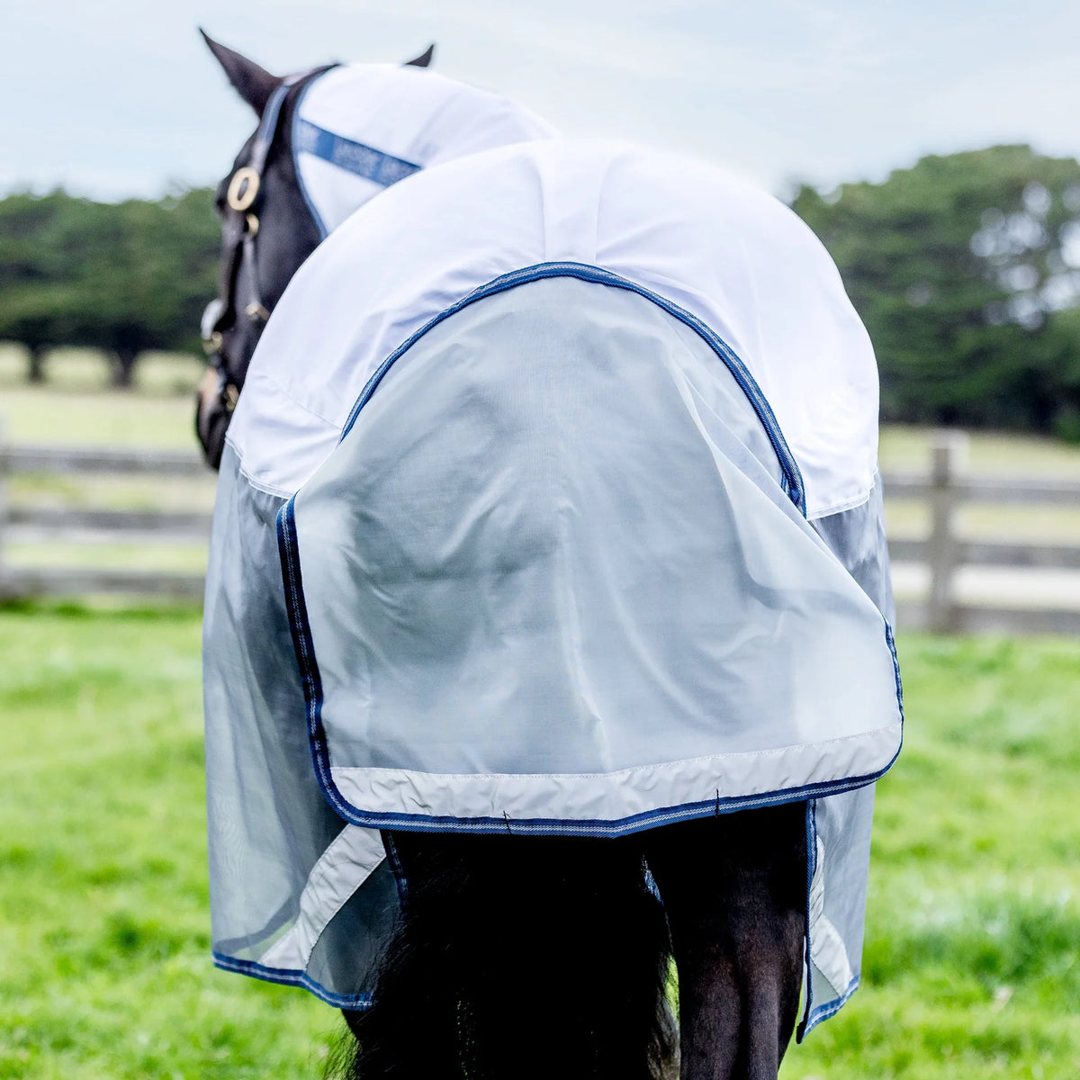 Leader Equine Breeze Summer Sheet with Fieldsafe Front