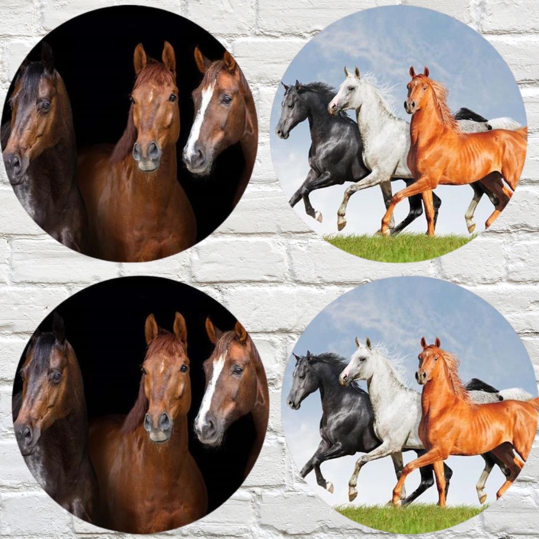Coasters Horse Set of 4