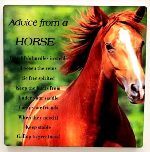 Plaque Advice from a Horse 15c