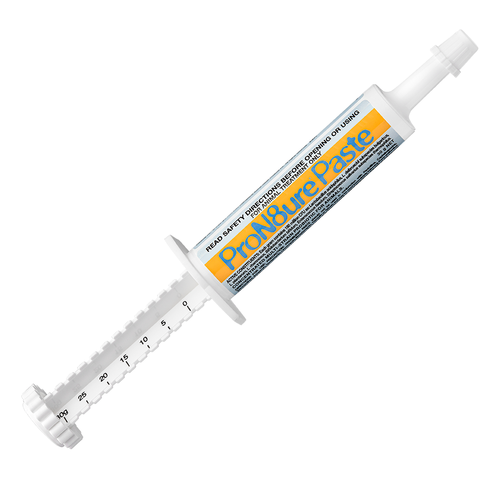 International Animal Health Pron8ture (Protexin) Paste 30g