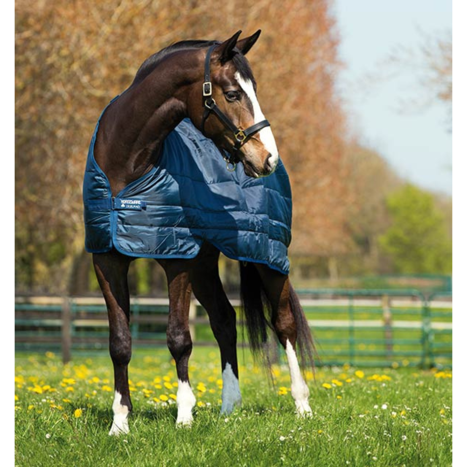 Horseware Liner 200g