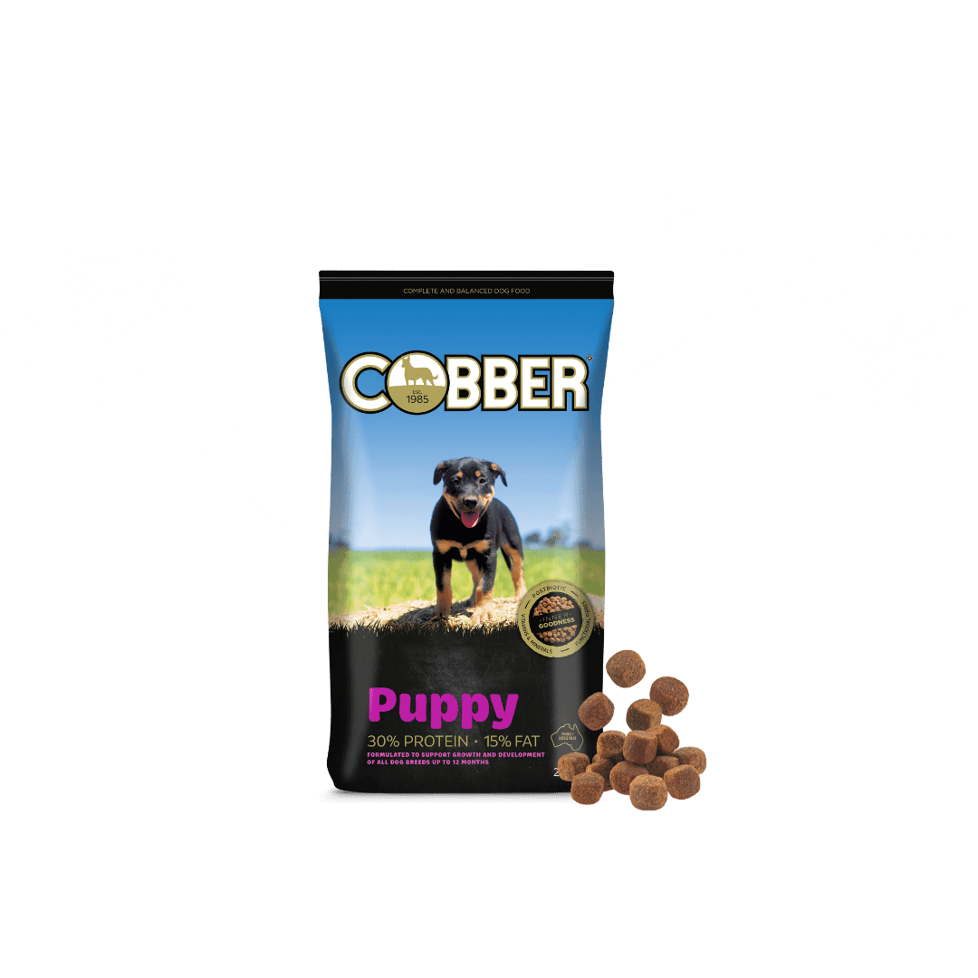 Cobber Puppy 20kg