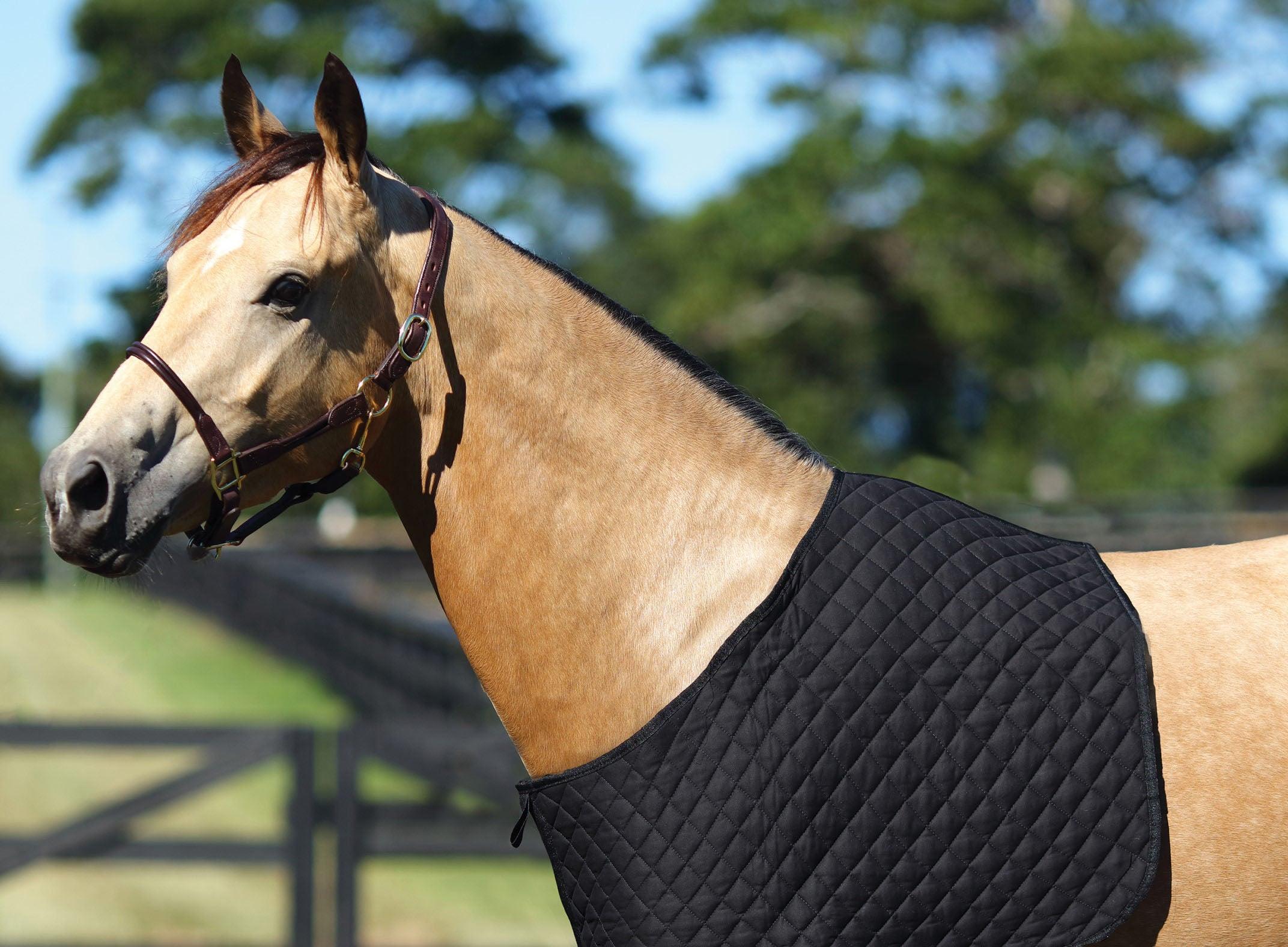 Showmaster Quilted Bib