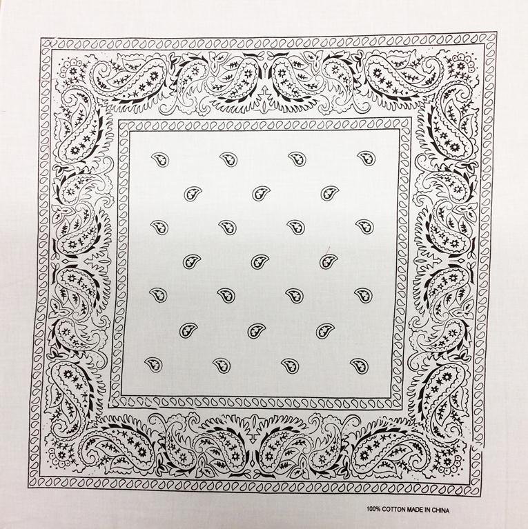 Paisley Bandana
