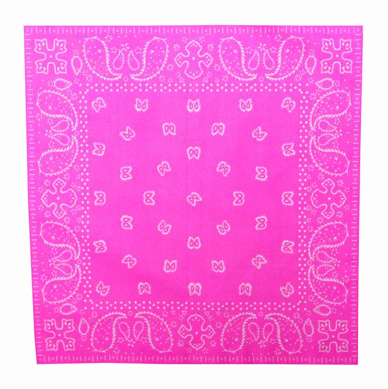 Paisley Bandana