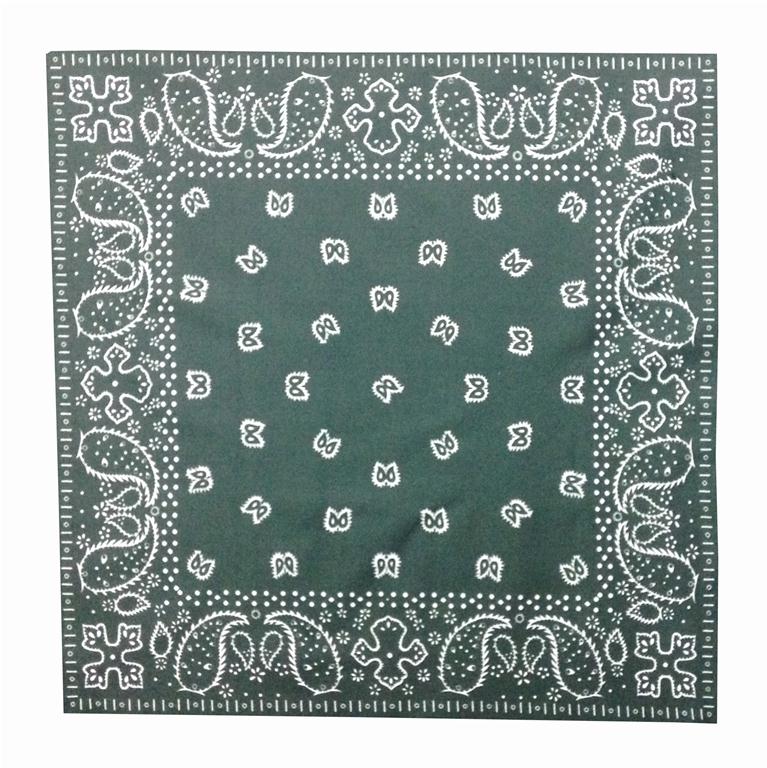 Paisley Bandana
