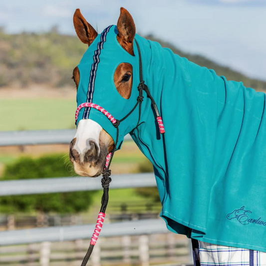 Earlwood Horse Hoods - Zip Up