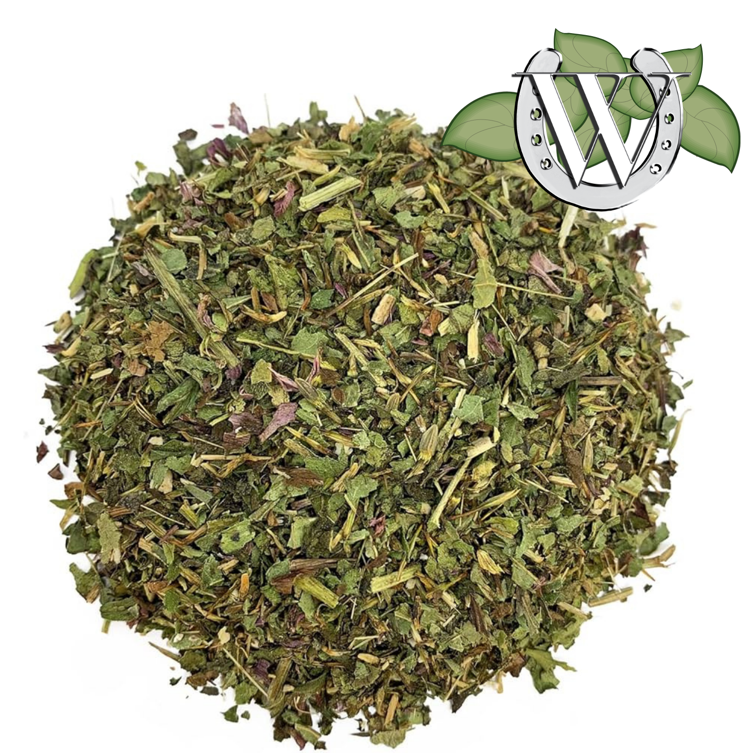 Walkenny Park Echinacea