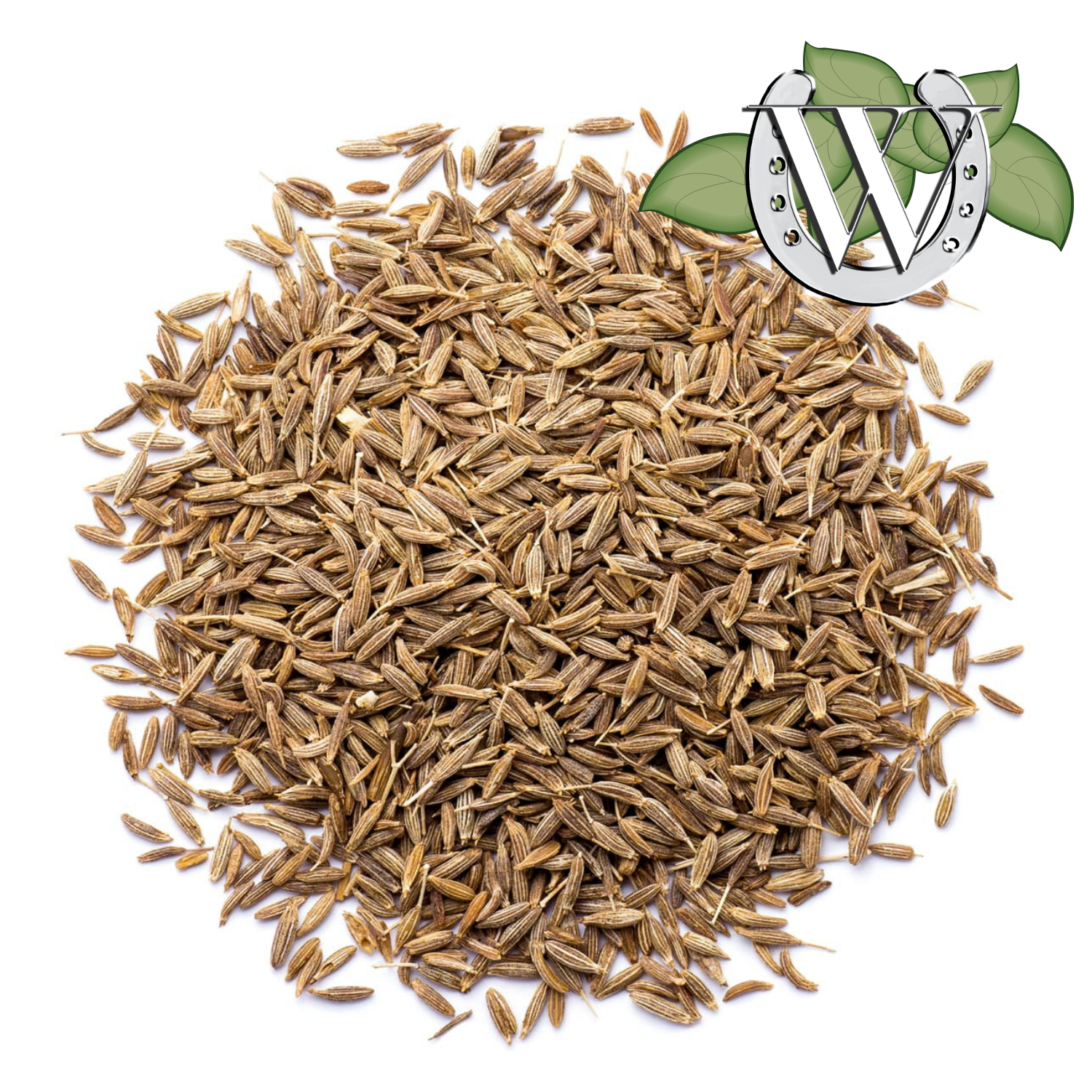 Walkenny Park Fennel Seeds