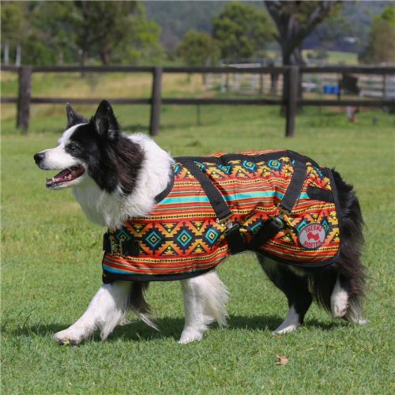 Thermomaster Supreme Dog Coat Nicoma