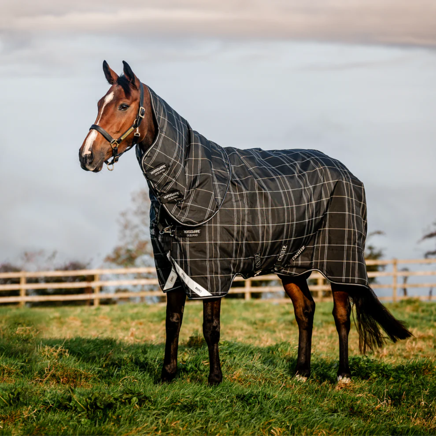 Rhino Plus Turnout Bundle (0g & 200g)