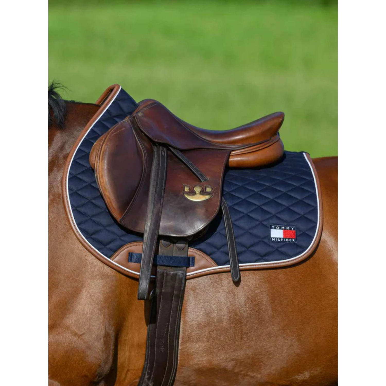 Tommy Hilfiger Princeton Jumping Saddle Pad