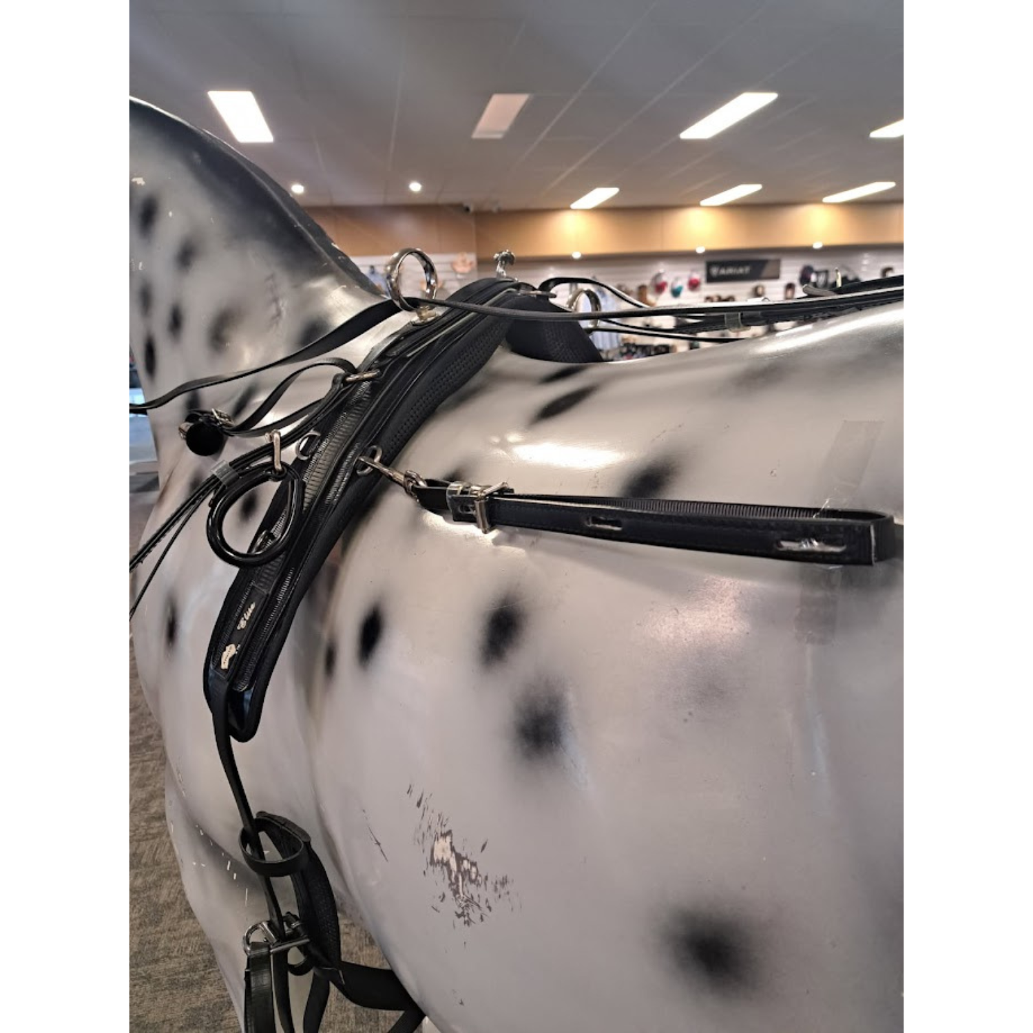 Harness Competition Set