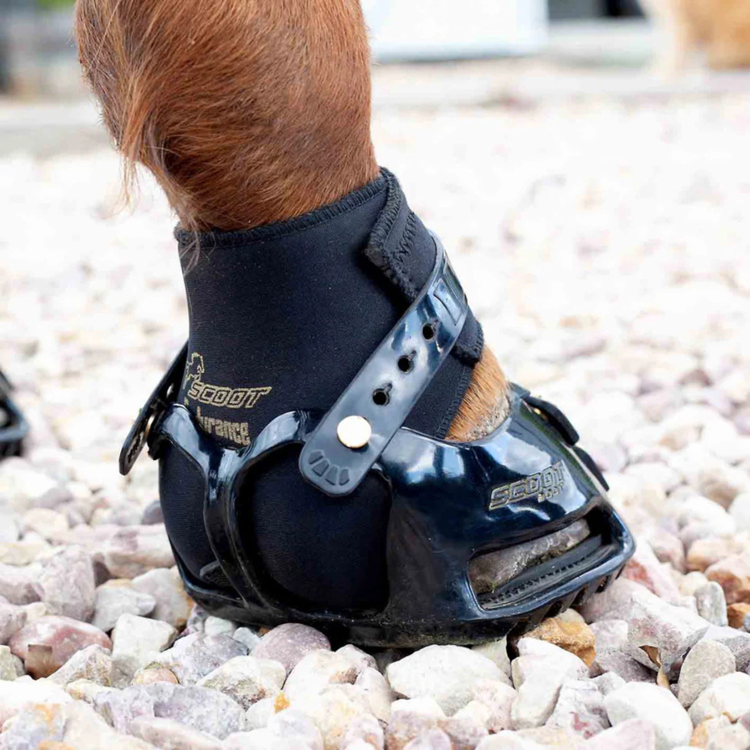 ScootBoot Endurance Gaiter
