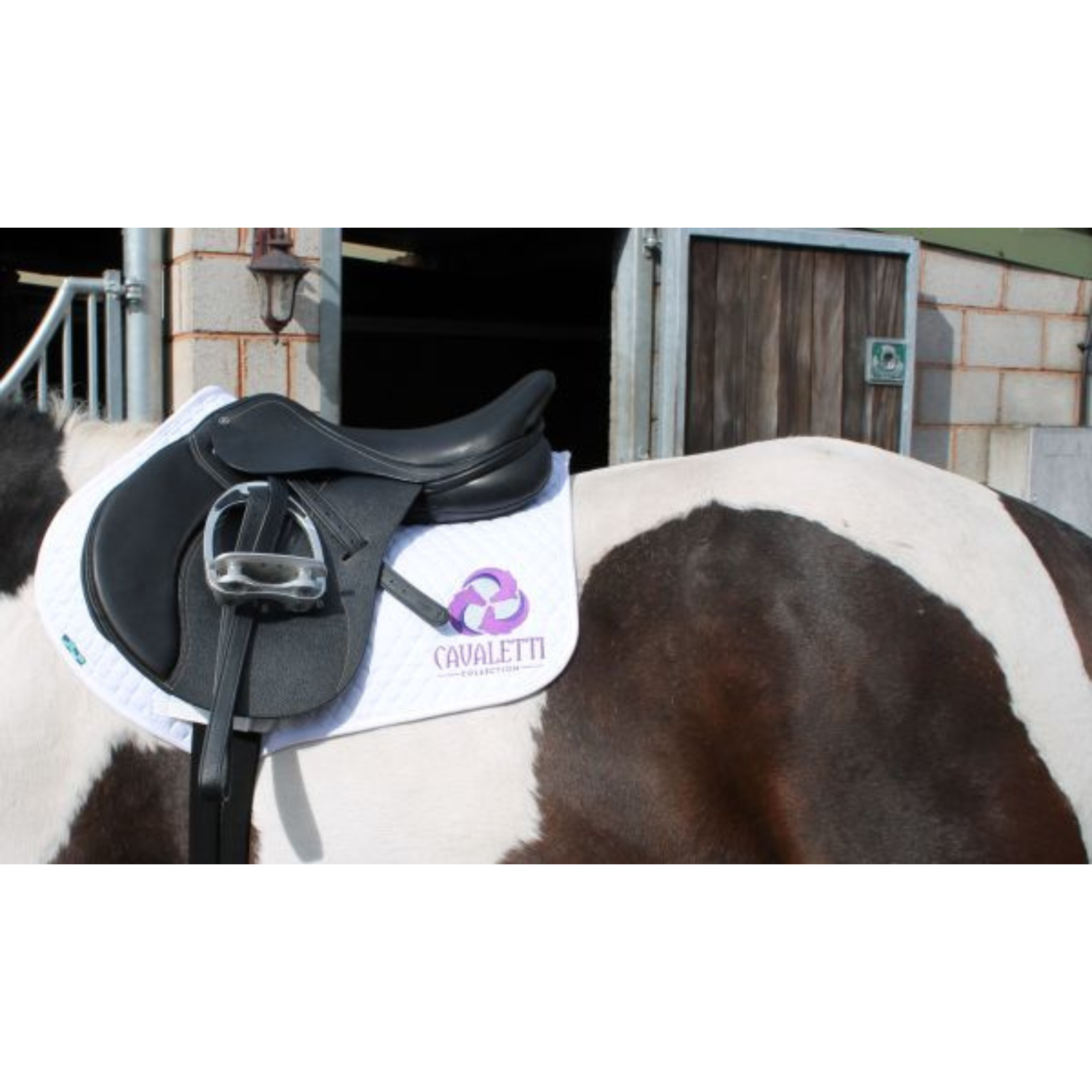 Cavaletti Jump Saddle