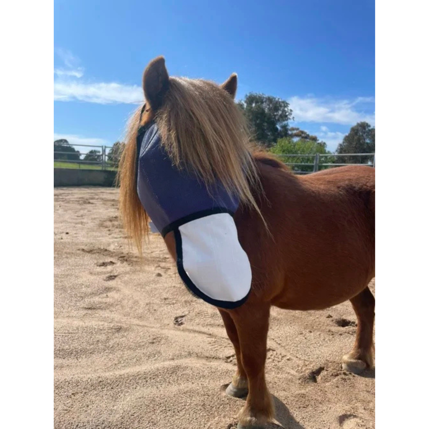 Flyveils by Design Basic Fly Veil with White Nose