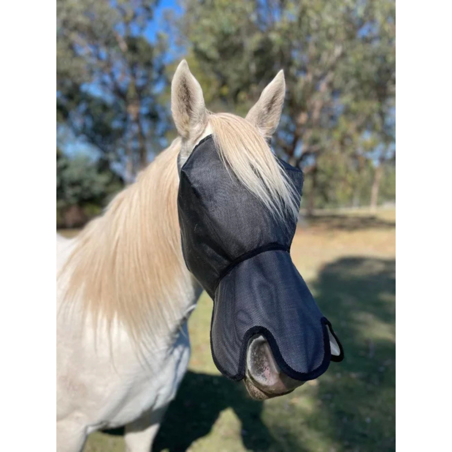 Flyveils by Design Flyveil with 100% Blockout Shaped Nose Cover
