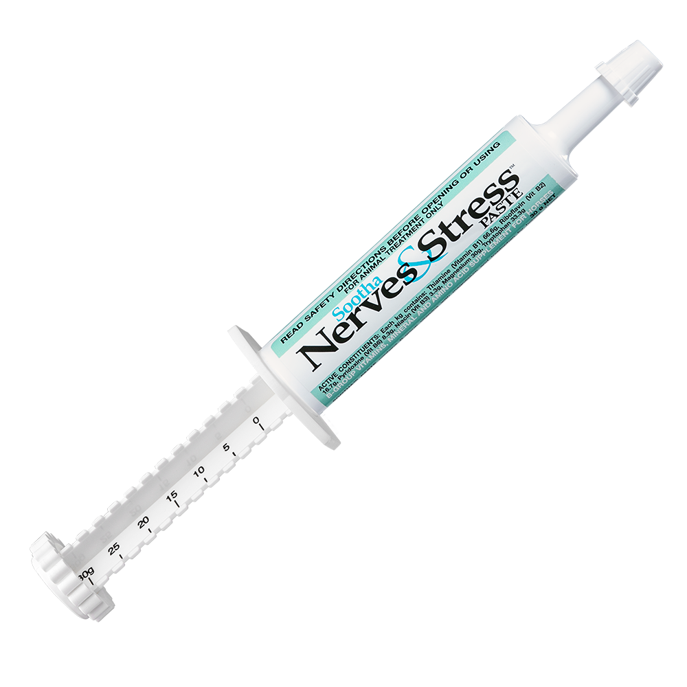 International Animal Health Sootha Nerves & Stress? Paste 30g