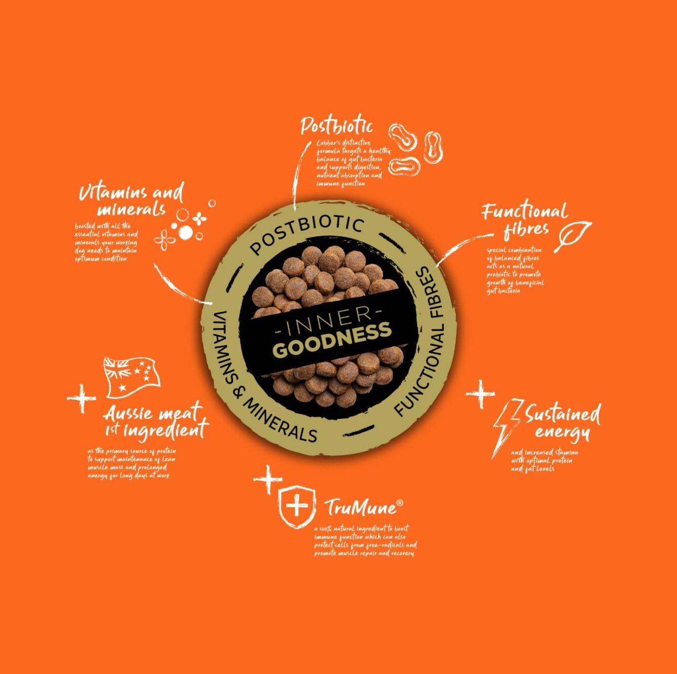 Cobber Working Dog 20kg