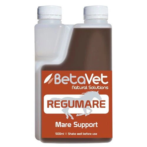 Betavet Regumare - Saddleworld Devonport