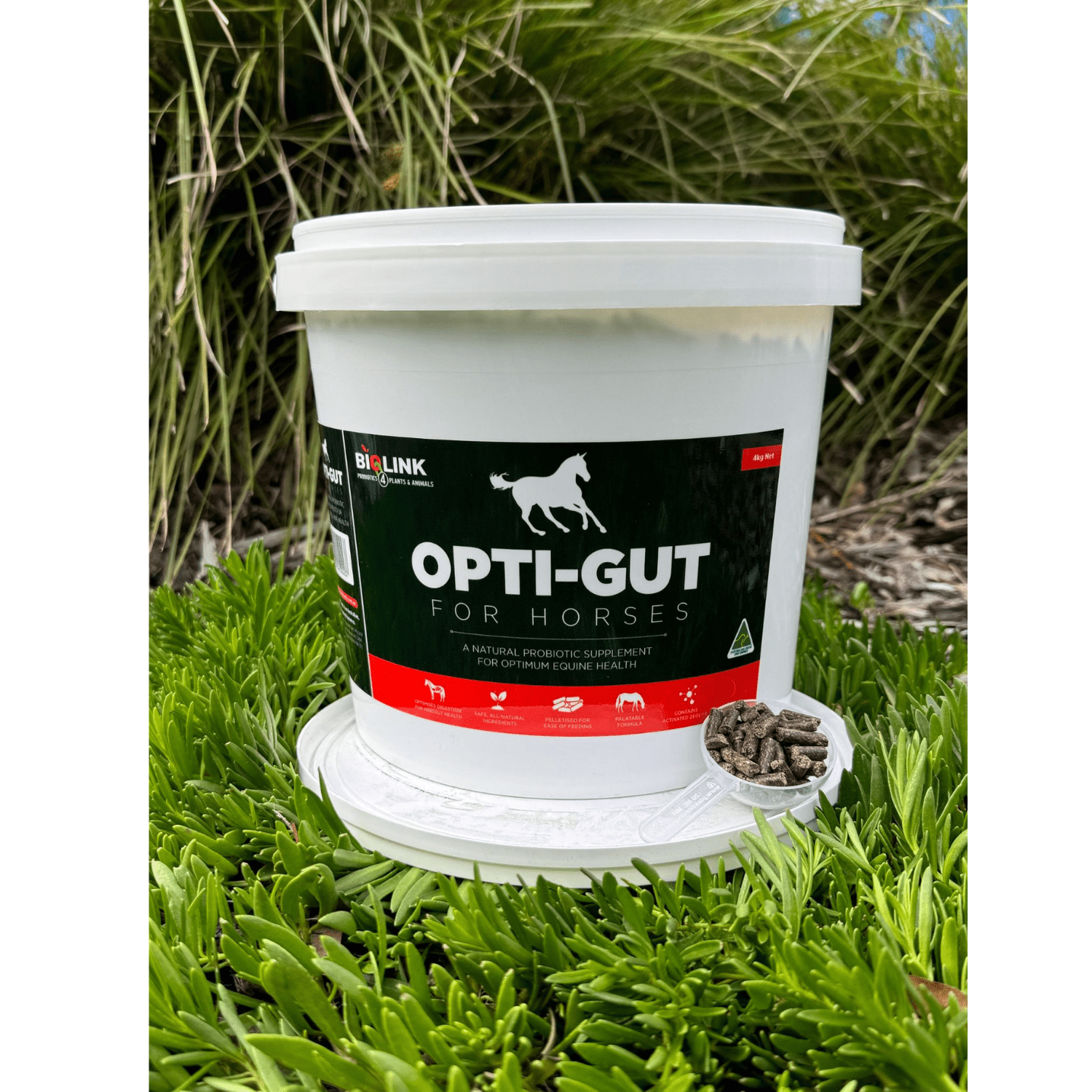 Biolink Opti-Gut for Horses - Saddleworld Devonport